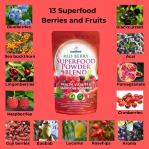 red berry superfood superfoods powder blend evanmore antioxidant rich packed with nutrients smoothie booster