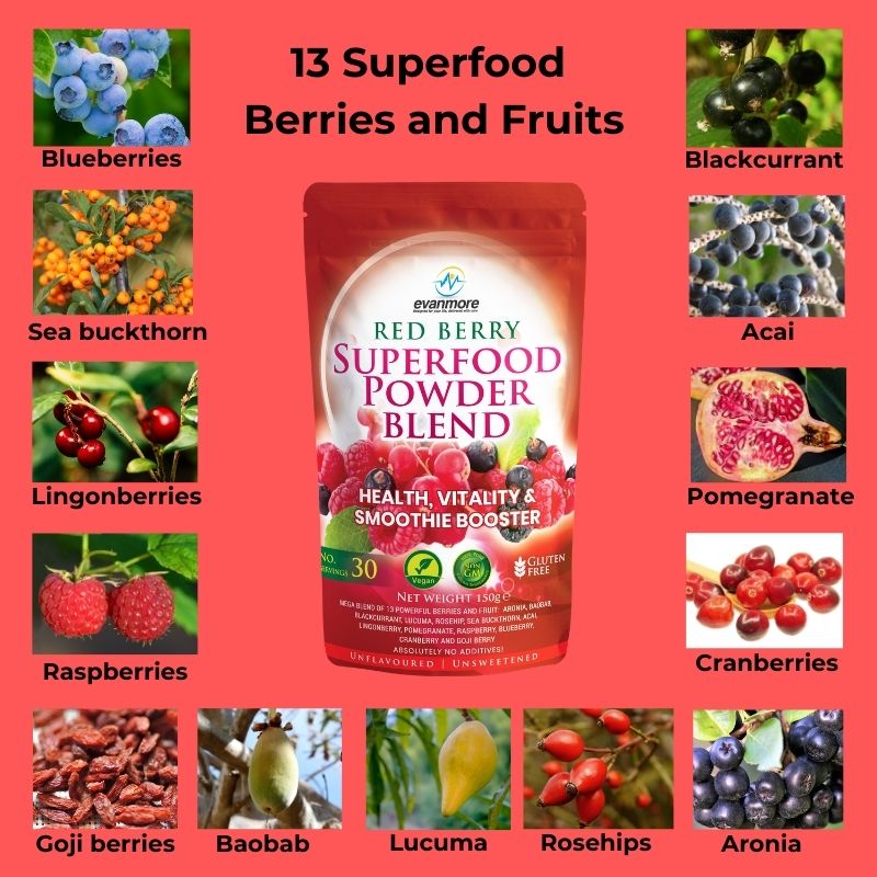 red berry superfood powder blend Evanmore with 13 superfood ingredients no added ingredients